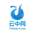 云中网