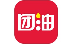 团油专业版