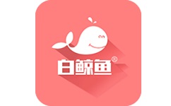 白鲸鱼旧衣服回收平台