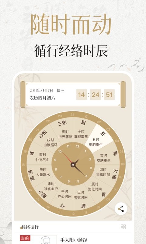 中济经络穴位截图