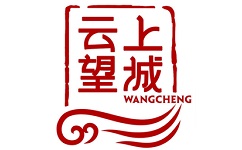 云上望城