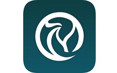 有人有活酒店端