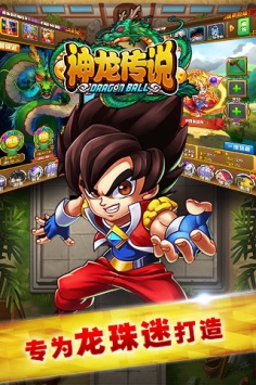 神龙传说截图