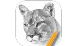 素描绘画入门教程