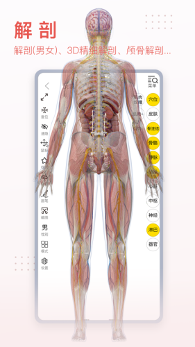 3dbody解剖学专业版截图