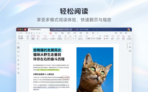 极光PDF  MAC版截图