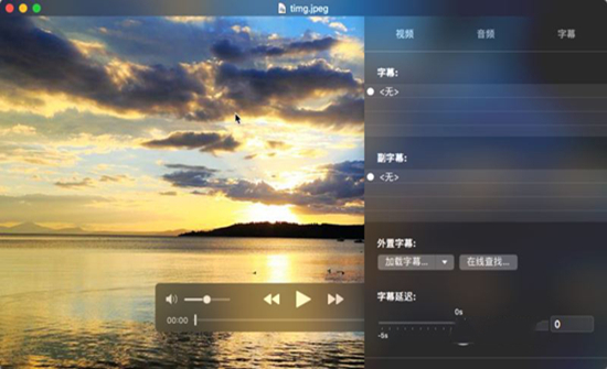 IINA截图