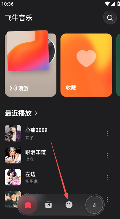 飞牛音乐截图
