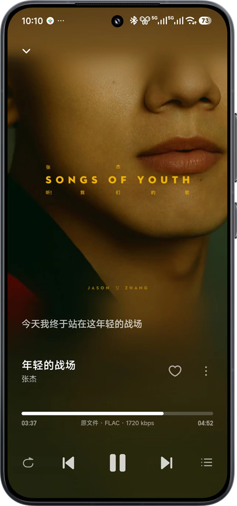 飞牛音乐截图