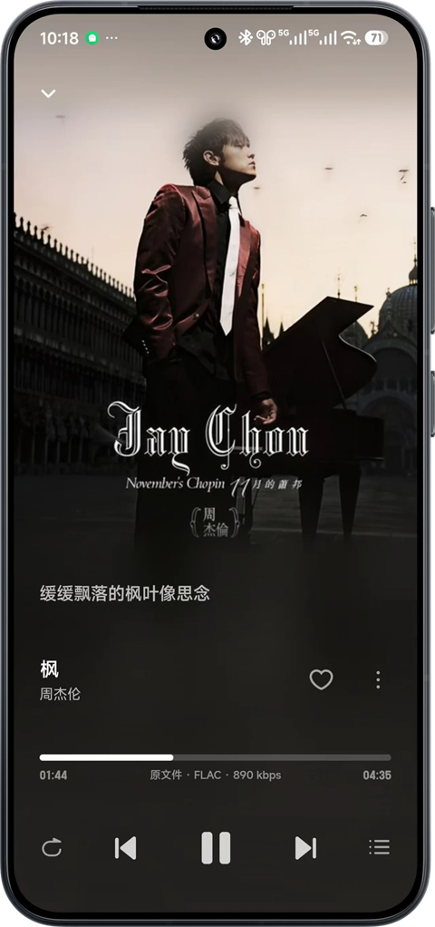 飞牛音乐截图