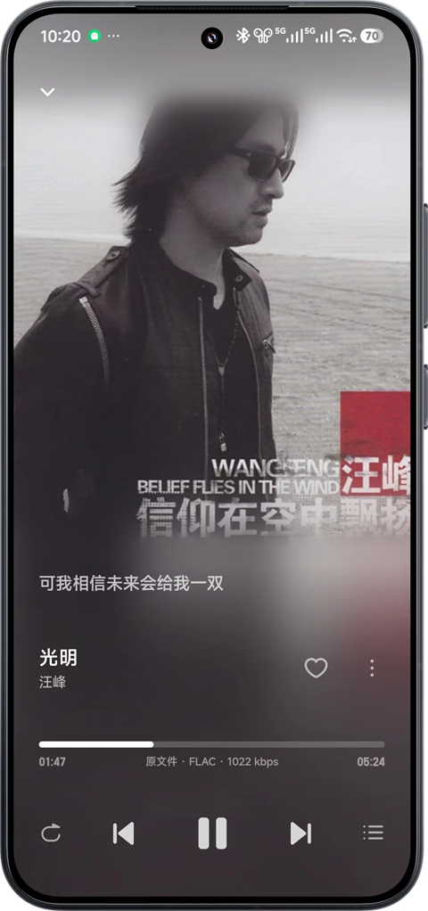 飞牛音乐截图