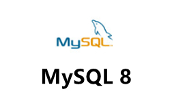 MySQL8