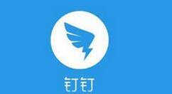 在钉钉里进行投票的简单操作