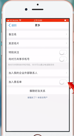 在钉钉APP中拉黑同事的详细讲解截图