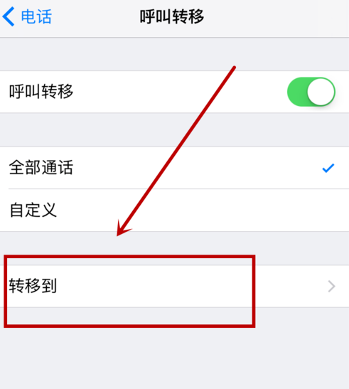 iphone设置呼叫转移的操作流程截图