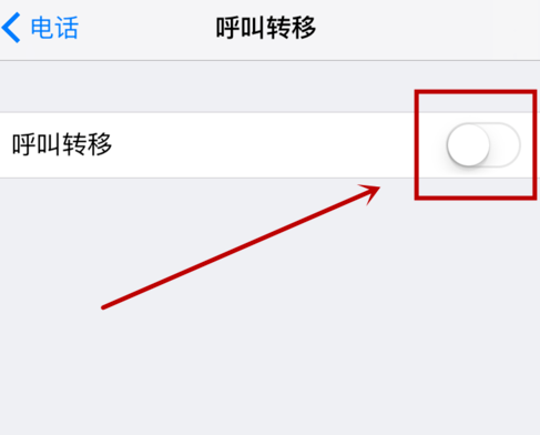 iphone设置呼叫转移的操作流程截图