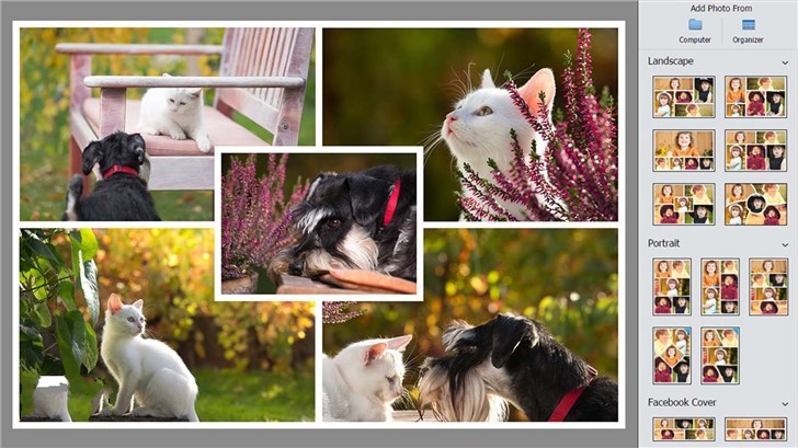 Adobe Photoshop Elements 2019正式登陆Win10商店截图