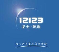 ͨ12123Appʻ֤ϸ