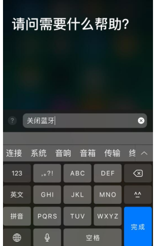 苹果手机设置通过文字召唤Siri的操作过程截图