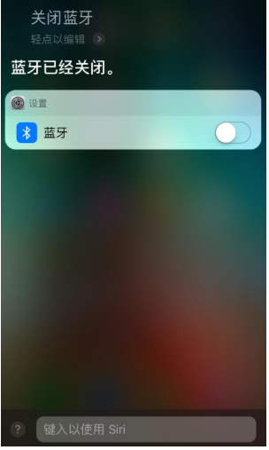 苹果手机设置通过文字召唤Siri的操作过程截图