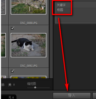 lightroom给照片加关键字的操作流程截图