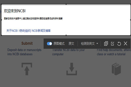 有道词典截图翻译的详细操作截图