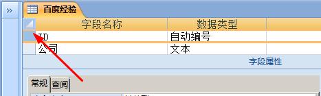 access报表自定义设置主键的详细操作截图