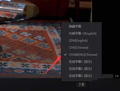 使用esrxp提取視頻文件中內嵌字幕(硬字幕)的方法_格式工廠提取字幕文件_mkv文件提取字幕
