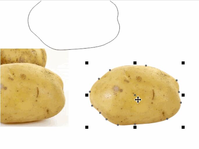cdr抠土豆的详细操作方法截图