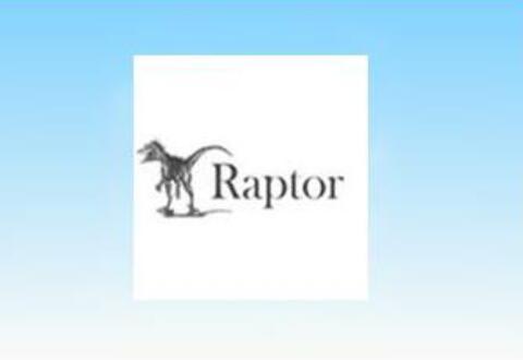 raptor对变量赋值并且输出的相关操作讲述