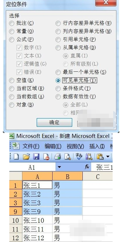 Excel有隐藏行时进行复制的操作步骤截图