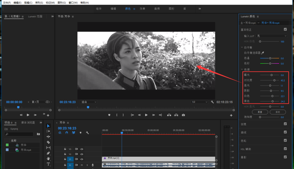 Premiere进行视频去色处理的具体操作使用截图