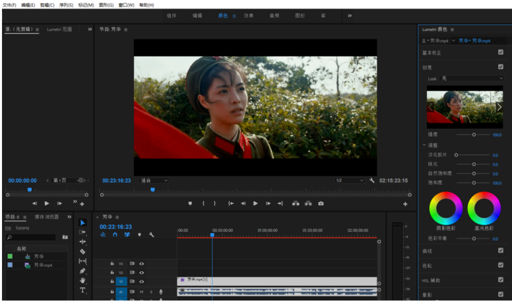 Premiere进行视频去色处理的具体操作使用截图