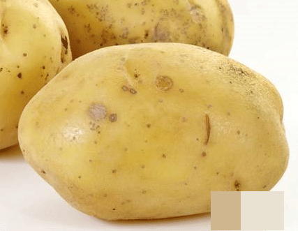 cdr抠土豆的详细操作方法截图