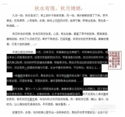 Word软件选定文本的简单操作教程截图