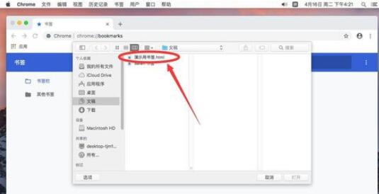 谷歌浏览器Mac版导入书签的操作步骤截图
