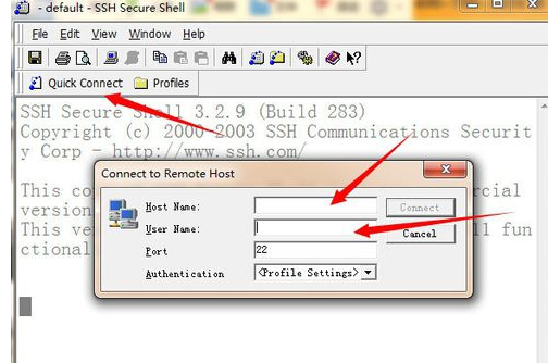 SSH Secure Shell Client的简单使用方法截图