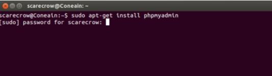 phpmyadmin在ubuntu环境下安装步骤截图