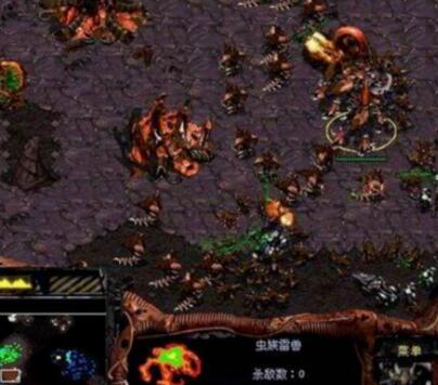 星际争霸1.16联机方法介绍截图