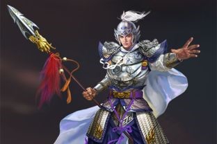 三国群英传7赵云相关攻略截图