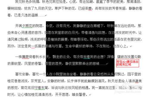 Word软件选定文本的简单操作教程截图