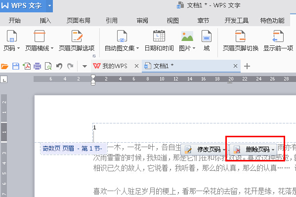 WPS2016怎么设置指定页数为起始页？