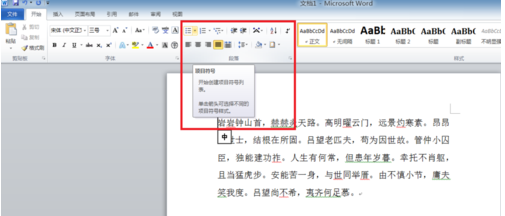 word2010项目符号的操作教程截图