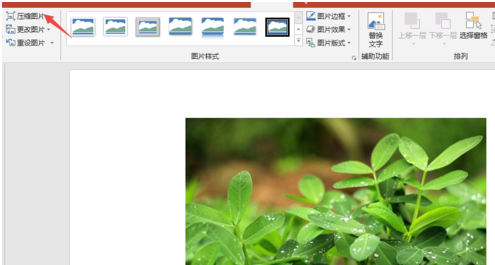 PPT2019压缩插入图片的操作教程截图