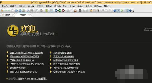 UE编辑器注册激活步骤截图