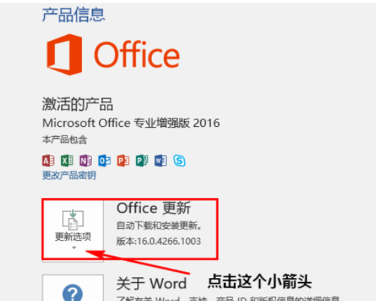 Microsoft office 2016禁用更新的详细操作截图