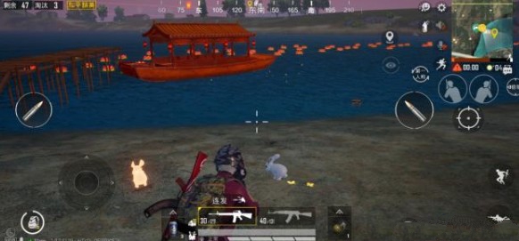 和平精英金色兔子安抚跟随与作用详解截图