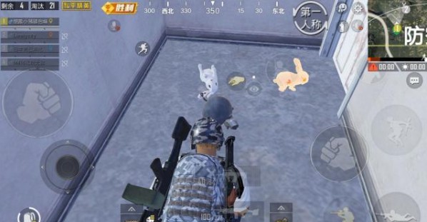 和平精英金色兔子安抚跟随与作用详解截图