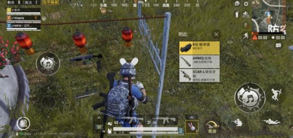 和平精英金色兔子安抚跟随与作用详解截图