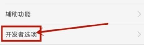 realme Q开启开发者选项的方法步骤截图
